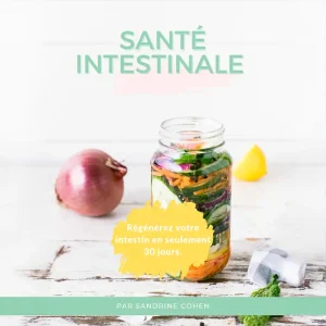 E-book Santé Intestinale – 30 jours pour régénérer votre intestin